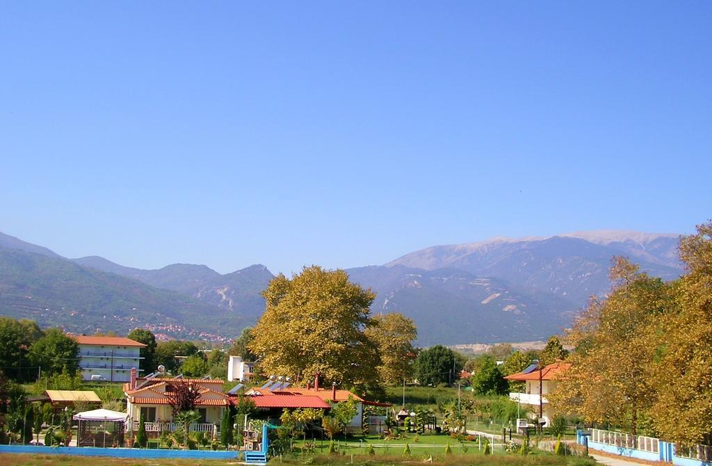 Apartments Ziogas Паралия-Скотинас Номер фото